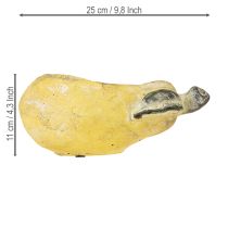 položky Dekoratívny kvetináč na hrušky, jesenný, betónový, 25×13×11 cm