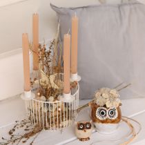 položky Dekoratívne hviezdy, konopná rafia, 7,5 cm, vianočné ozdoby na stromček, 8 kusov