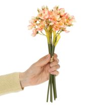 položky Dekoratívna kvitnúca vetvička peruánskej ľalie pre nadčasové aranžmány, 33 cm, 6 kusov