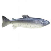 položky Ozdobné krmivo pre ryby atrapa ryby umelé 31cm