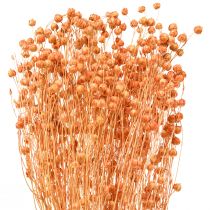 položky Deco ľan sušené sušené kvety marhuľa natural 80g