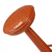 položky Kovová dekoratívna krhlica vo vidieckom štýle, oranžovo-hnedá, 26 cm, 5 l - Všestranné použitie ako kvetináč a dekoračná nádoba