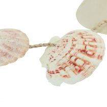 položky Ozdobný vešiak dekorácia z morskej mušle prírodná Ø5–10cm 70cm