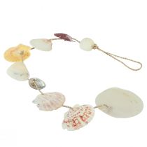 položky Ozdobný vešiak dekorácia z morskej mušle prírodná Ø5–10cm 70cm
