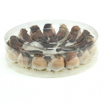 položky Ozdobné vtáčiky 9cm na drôte 16 ks