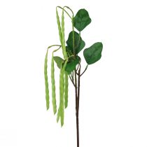 položky Ozdobná vetvička fazuľová vetvička umelá rastlina zelená 68cm