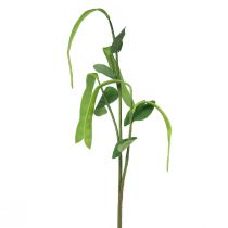 položky Ozdobná vetvička fazuľová vetvička umelá rastlina zelená 95cm