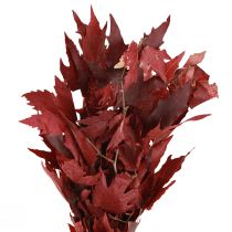položky Ozdobné konáre javorové listy dekoratívne javorové listy červené 50-60cm 100g
