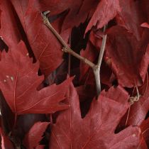 položky Ozdobné konáre javorové listy dekoratívne javorové listy červené 50-60cm 100g