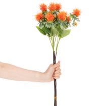 položky Umelý oranžový svetlicový kvet ako umelý kvet do vázy a na dekoráciu, 55 cm, 4 kusy