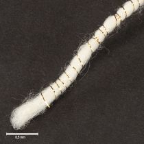 položky Vlnená šnúrka biela so zlatou niťou 5m x 5mm s drôtom na dekoráciu a tvorenie