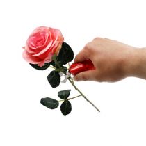 položky Odstraňovač tŕňov ruží