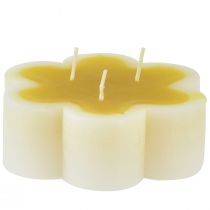 Trojknôtová sviečka dekoračná kvetinová sviečka žltá biela Ø11,5cm V4cm