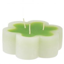 Trojknôtová sviečka zelená biela tvar kvet Ø11,5cm V4cm