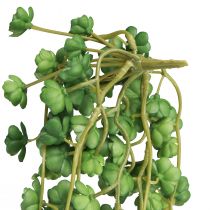 položky Umelé závesné rastliny echeveria v zelenej farbe Š12 cm D50 cm