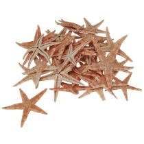 položky Skutočné mladé morské hviezdice, dekorácia na stôl 3-4 cm, 100 ks