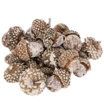Článok Žalude, prírodný produkt na dekoráciu, obielené, 1-3 cm, 300 g