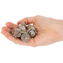 Článok Žalude, prírodný produkt na dekoráciu, obielené, 1-3 cm, 300 g