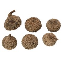 Článok Prírodné žaluďové čiapky, dekoratívne misky na jeseň a advent, 2 cm, 300 g