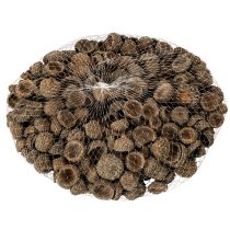 Článok Prírodné žaluďové čiapky, dekoratívne misky na jeseň a advent, 2 cm, 300 g