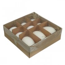 položky Labutí vajcia &amp; slepačie vajcia mix vyfúknutý bielok 5,5/8cm 9ks