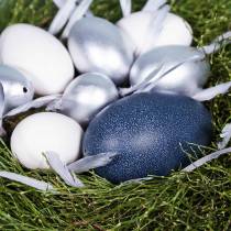 položky Emu vajíčko natur 12cm - 14cm 1ks