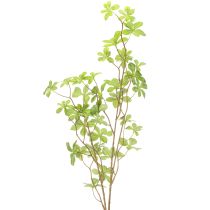 položky Umelá vetvička Schefflery, elegantná rastlinná dekorácia do obytných priestorov, 95 cm