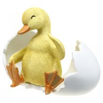 položky Vyliahnuté kuriatko, figúrka kačice, káčatko vo vajci V10cm Š12,5cm