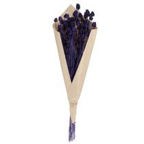 položky Jahodový bodliak bodliak suchý Dekorácia fialová 44-58cm 100g