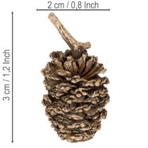 Článok Jelšové šišky, prírodný produkt na dekoráciu a tvorenie, zlaté, 3 cm, 300 g