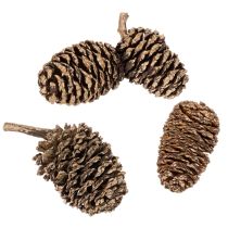 Článok Jelšové šišky, prírodný produkt na dekoráciu a tvorenie, zlaté, 3 cm, 300 g