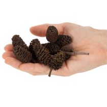 Článok Prírodné jelšové šišky, voľné, na ozdobu, 3 cm, 300 g, prírodná hnedá.