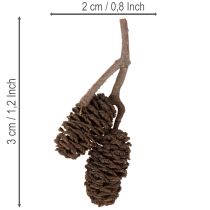 Článok Prírodné jelšové šišky, voľné, na ozdobu, 3 cm, 300 g, prírodná hnedá.
