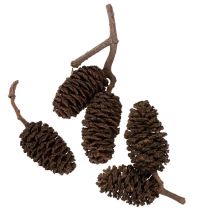 Článok Prírodné jelšové šišky, voľné, na ozdobu, 3 cm, 300 g, prírodná hnedá.