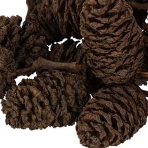 Článok Prírodné jelšové šišky, voľné, na ozdobu, 3 cm, 300 g, prírodná hnedá.