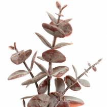 položky Eukalyptus umelý Burgundsko 32cm Umelá rastlina ako skutočná!