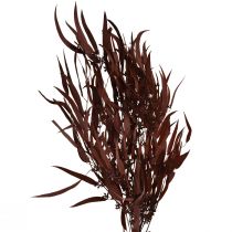 položky Eukalyptové konzervované konáre eukalyptu červená, hnedá 56 cm 135 g