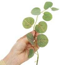 položky Dekoratívna vetvička eukalyptu, ideálna dekorácia na stôl, 120 cm