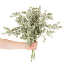 položky Umelá vetvička eukalyptu, dekoratívna vetvička do vázy a kytice, 49 cm, 4 kusy