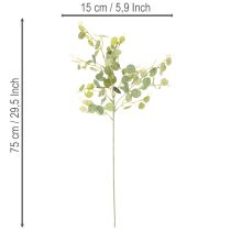 položky Umelá vetvička eukalyptu s okrúhlymi listami, 75 cm, 4 kusy