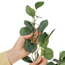 položky Umelý kvet eukalyptu pre moderný interiérový dizajn, 85 cm, 3 kusy