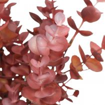 položky Jesenná dekorácia eukalyptová vetvička červená umelý eukalyptus 36cm