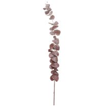 položky Eukalyptové konáre, konzervovaný eukalyptus, sušené kvety, červené, 75 cm, 150 g