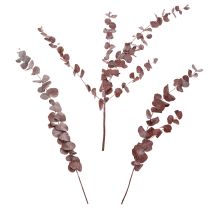položky Eukalyptové konáre, konzervovaný eukalyptus, sušené kvety, červené, 75 cm, 150 g