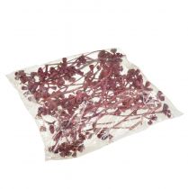 položky Dekorácia z eukalyptových konárov s červenou matnou prírodnou prírodou, exotická, 25 kusov