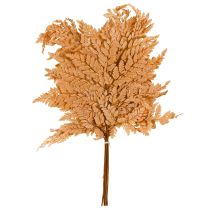 položky Dekorácia z konzervovanej papradie oranžovej farby 45 cm, 10 kusov, bytová dekorácia, DIY