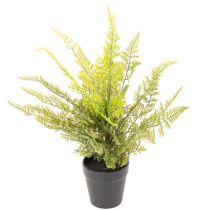 položky Umelá papraď v kvetináči na vnútornú zeleň, 40 cm
