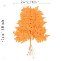 položky Sušené konzervované listy papradia na kvetinárstvo a jesennú dekoráciu, 42 cm, 10 kusov