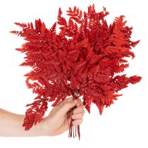 položky Konzervované a farbené listy papradia, pravá papraď na jesenné aranžmány, 42 cm, 10 kusov