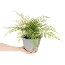 položky Umelá papraď v kvetináči do obývačky a kancelárie, 35 cm